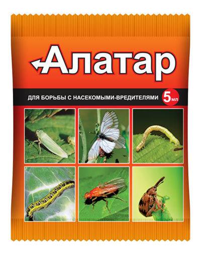 Как использовать препарат «Алатар» в саду и огороде: инструкция по применению инсектицида с фото