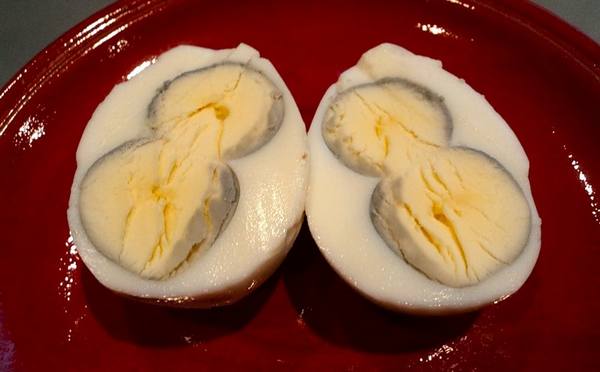 Двухжелтковые яйца у кур: причины появления и способы решения проблемы с фото