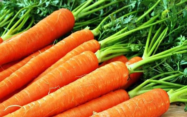 Несколько способов как хранить морковь - фото
