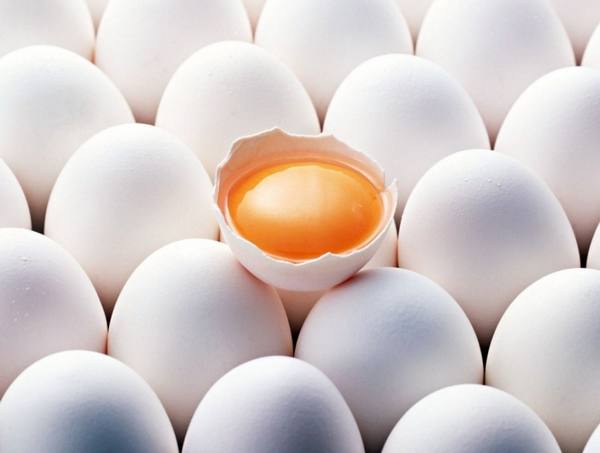 Храним куриные яйца правильно и определяем их свежесть с фото