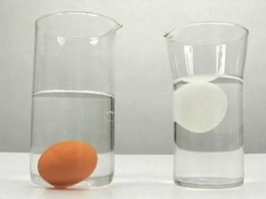 Как проверить свежесть яйца с помощью воды: самые точные способы с фото
