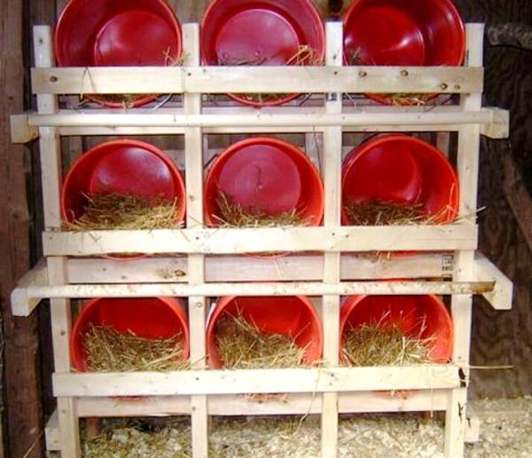 Быстрые и простые варианты сооружения гнезд для кур несушек своими руками - фото