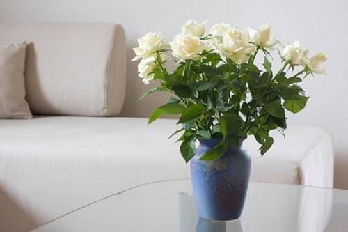 Что сделать, чтобы розы в вазе стояли дольше? - фото