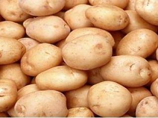 Полезные свойства картофеля с фото