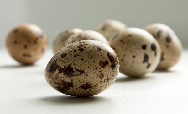 Перепелиные яйца  залог сохранения мужского здоровья на долгие годы с фото