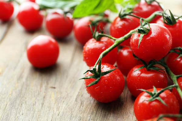 Как вырастить помидоры черри у себя на грядке - фото