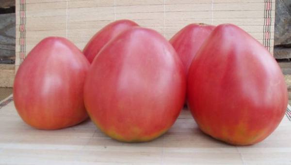 Описание и характеристики популярного в России сорта томатов «Фатима» - фото