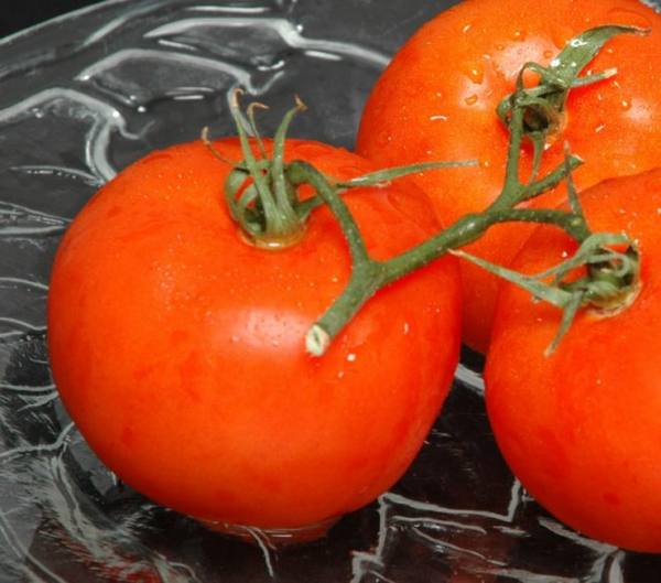 Сорт томатов «Медовый» - все характеристики и описание с фото
