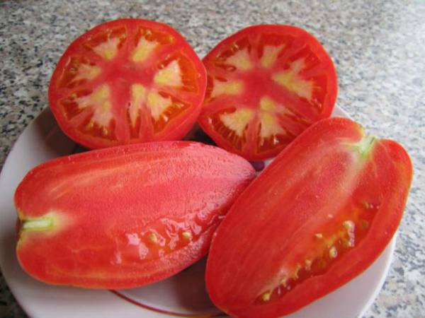 Выращивание томата сорта «Петруша-огородник» - фото