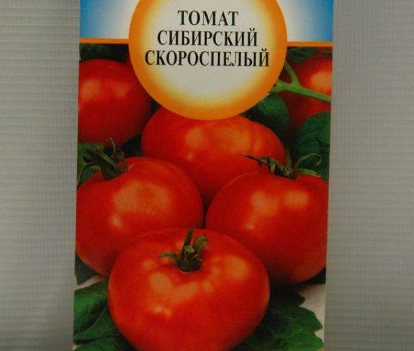 Особенности выращивания томата сибирского скороспелого - фото