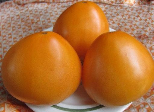 Томат «Золотые Купола» — медовый салатный помидор с фото